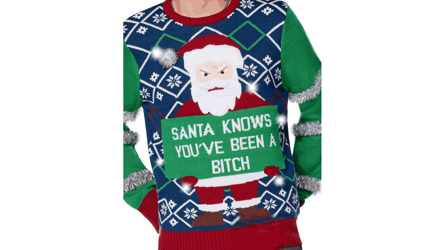 You've Been a Bitch Ugly Christmas Sweater